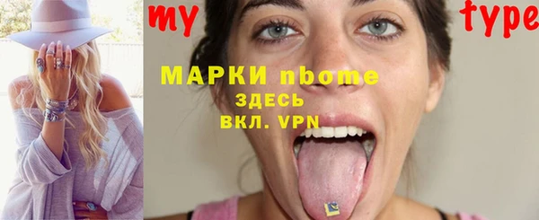 хмурый Алексин