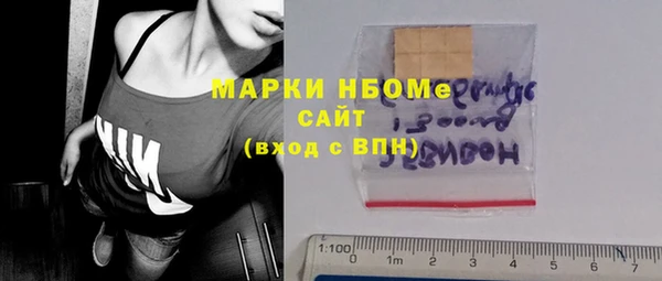 хмурый Алексин