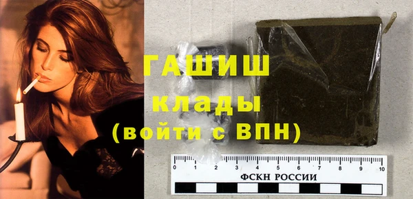 хмурый Алексин
