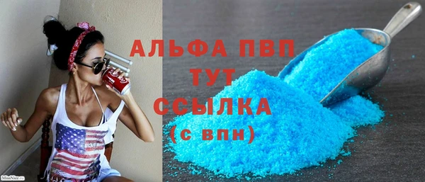 хмурый Алексин