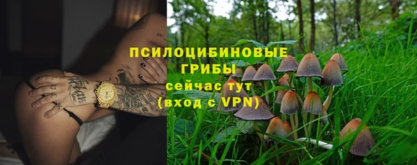 спайс Алексеевка