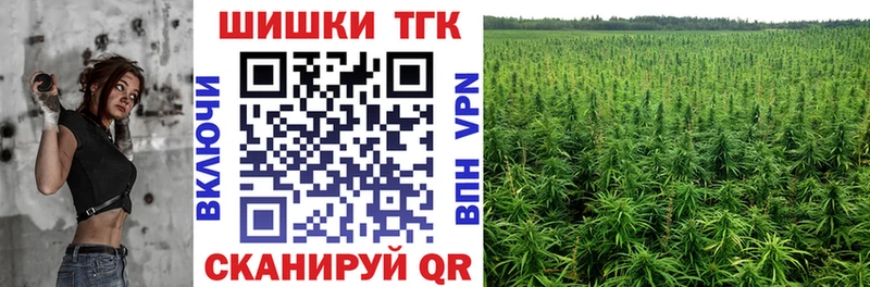 Каннабис конопля  наркошоп  сайты даркнета наркотические препараты  Бодайбо 